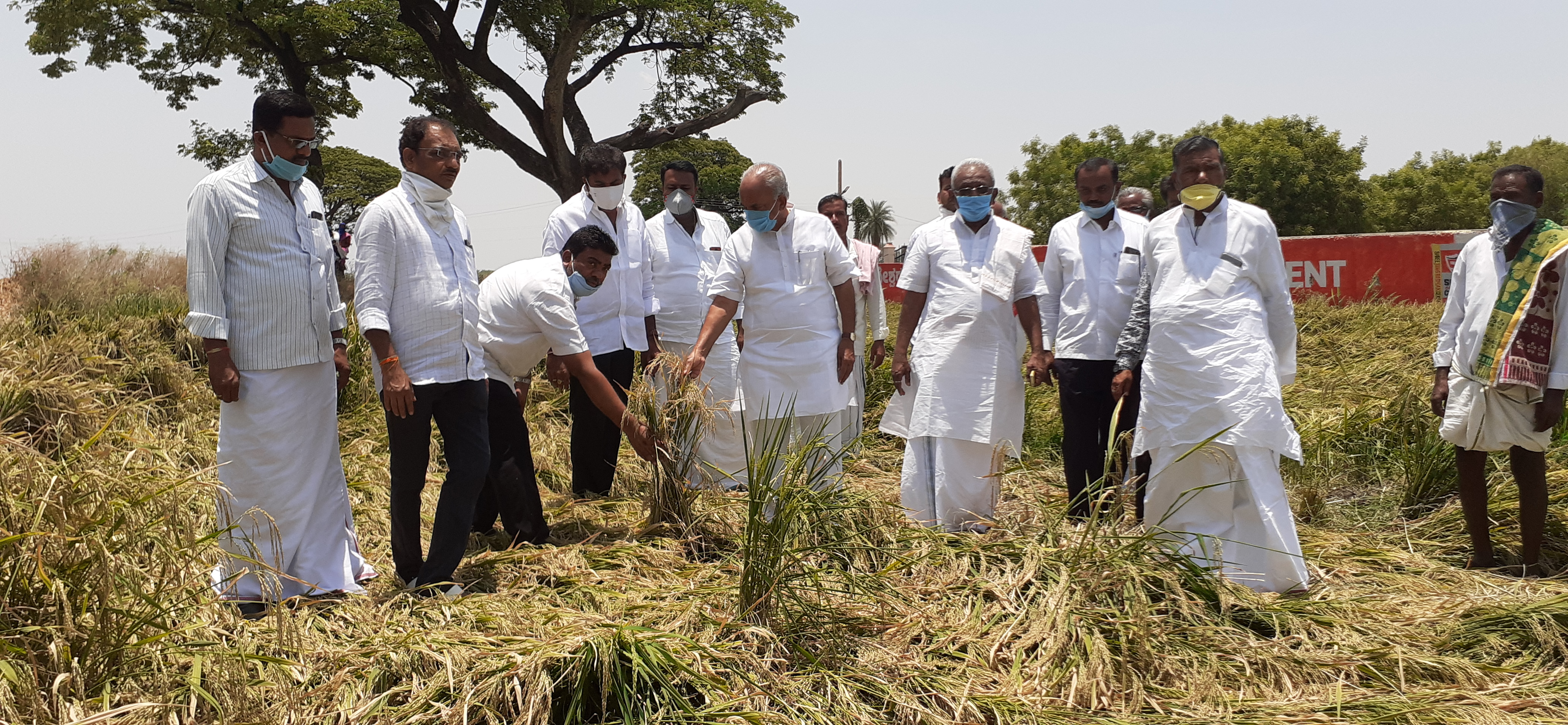 ಬೆಳೆ ಹಾನಿ 20ಸಾವಿರ ಪರಿಹಾರಕ್ಕೆ ಒತ್ತಾಯ  ಶ್ರೀ ಎನ್ ಎಸ್ ಬೋಸರಾಜು .