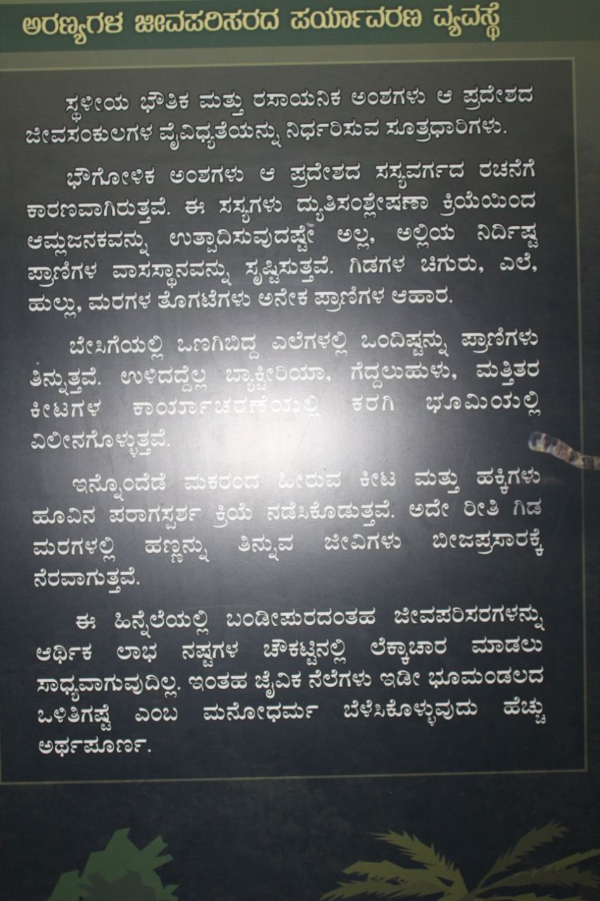 ವನ್ಯಜೀವಿ ದಾಮ ಬಂಡೀಪುರ ಅತ್ಯಂತ ರೋಮಾಂಚನಕಾರಿ.