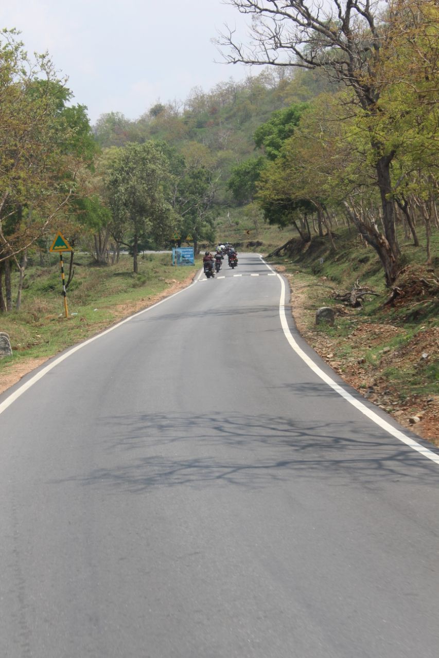 ವನ್ಯಜೀವಿ ದಾಮ ಬಂಡೀಪುರ ಅತ್ಯಂತ ರೋಮಾಂಚನಕಾರಿ.