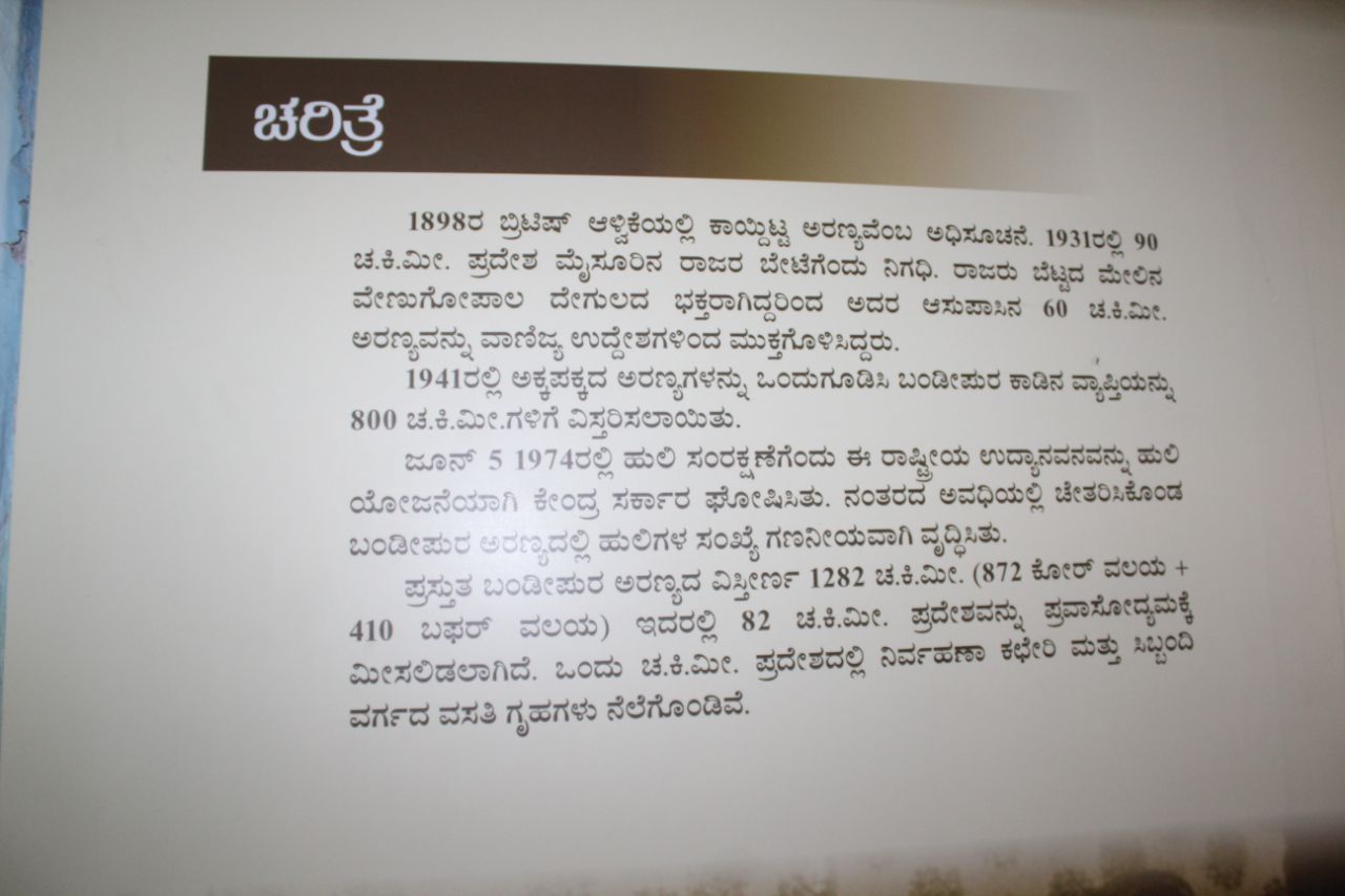 ವನ್ಯಜೀವಿ ದಾಮ ಬಂಡೀಪುರ ಅತ್ಯಂತ ರೋಮಾಂಚನಕಾರಿ.